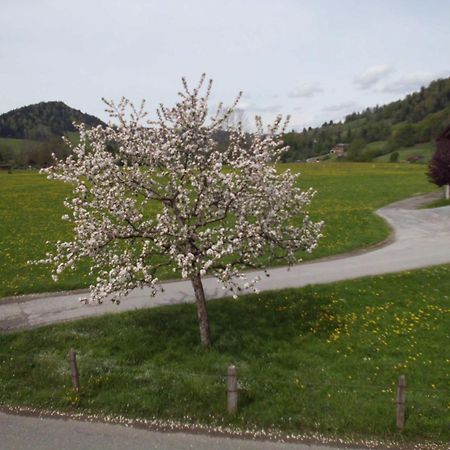 Ferienwohnung Annele Hittisau Extérieur photo