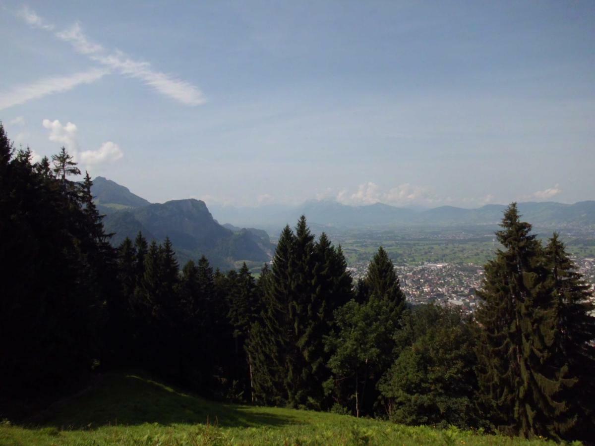 Ferienwohnung Annele Hittisau Extérieur photo
