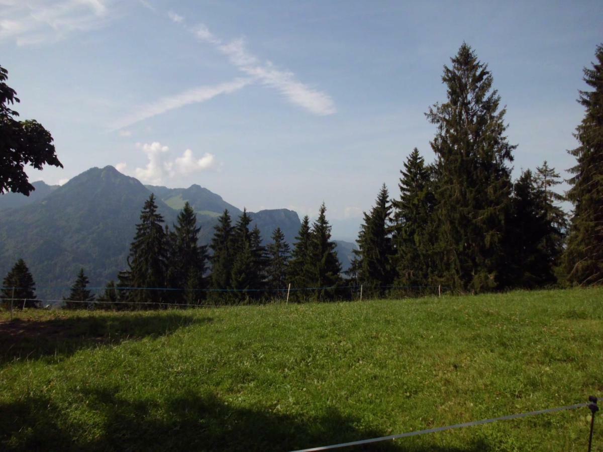 Ferienwohnung Annele Hittisau Extérieur photo